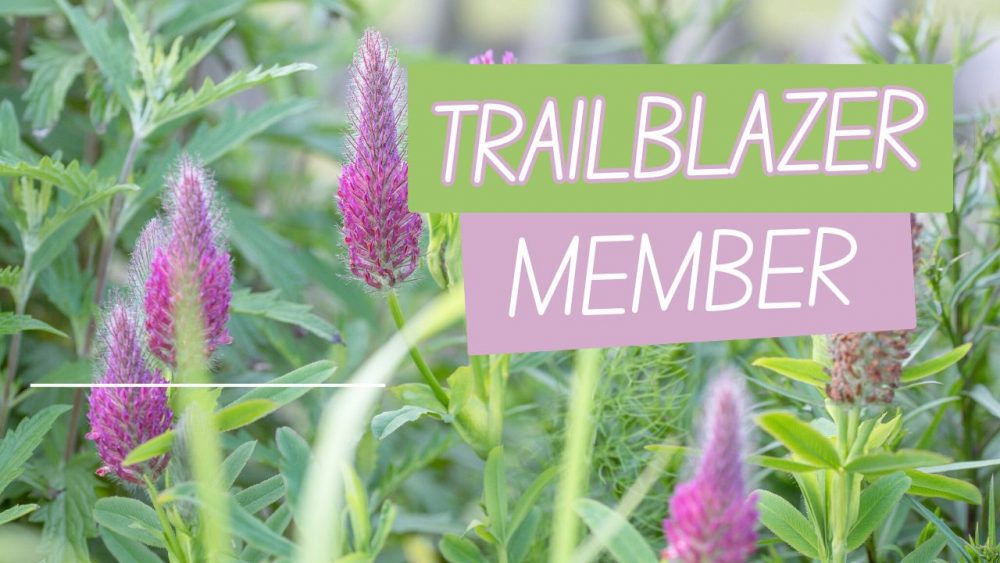 Early bird membership