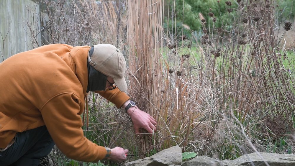 Care for your naturalistic border in winter